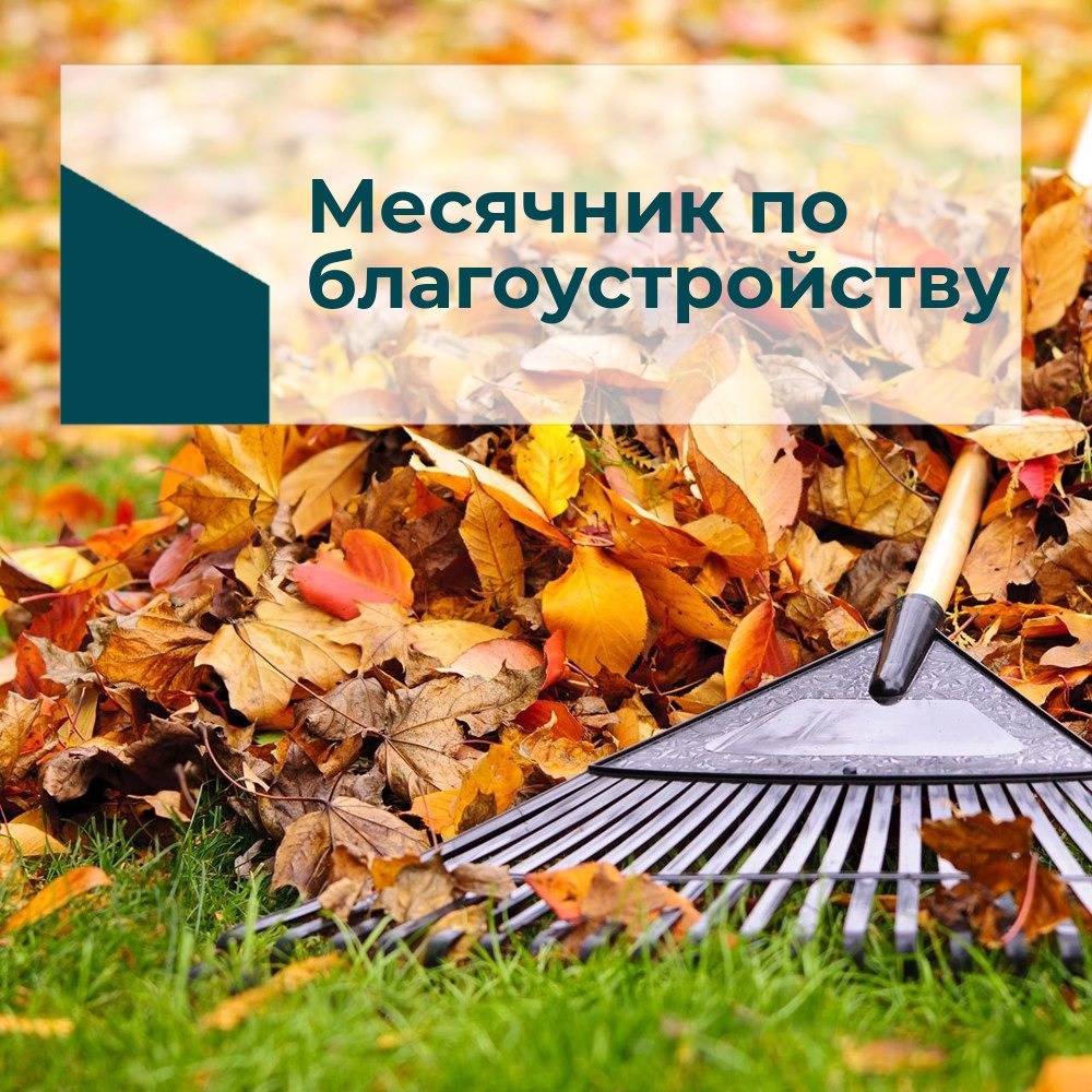 УВАЖАЕМЫЕ КАЛАЧЕЕВЦЫ!.