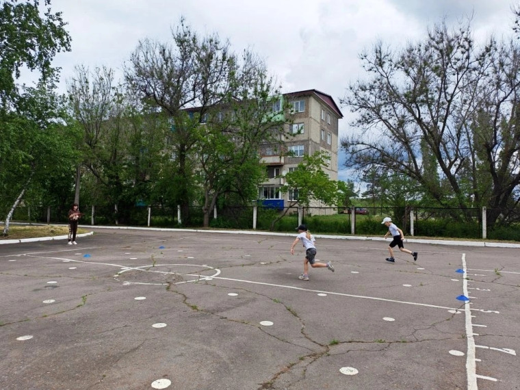 Новости спорта.